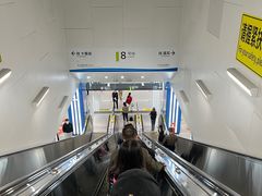 -拈一筷子·宜宾江湖菜(十一街店)