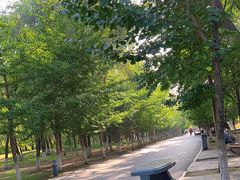 -长白岛森林公园