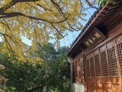 -宝界山林公园