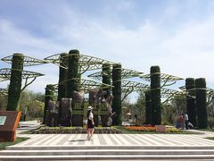 iphone_upload_pic-武清南湖绿博园