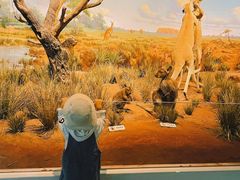 -陕西自然博物馆