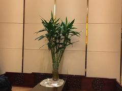 龙井虾仁-花中城·杭帮菜·粤菜·海鲜火锅(清泰街店)