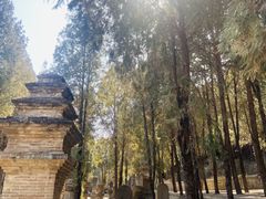 -四门塔风景区