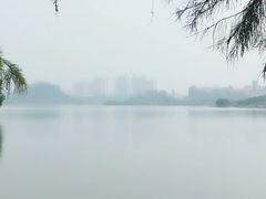 -松山湖南湖湾露营营地