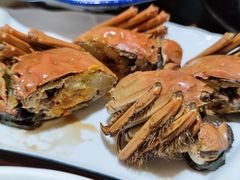 -呼吸森林·生态农庄农家乐私房菜