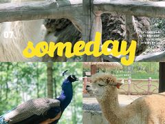 -昆山城市生态森林公园