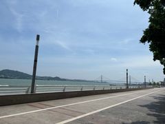 -阿群甘草水果