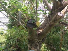 -南通洲际绿博园