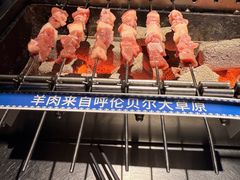 呼伦贝尔羊肉串-很久以前羊肉串(农科路店)