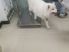 -康乐宝动物医院