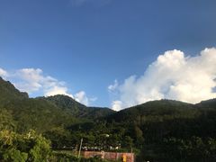 -翡翠老鸭店