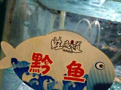 -蛙鱼道美蛙鱼自助火锅(新耍都店)