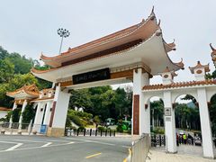 -深圳仙湖植物园