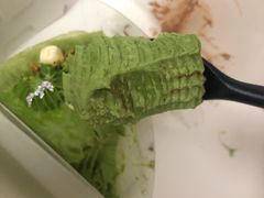 开心果千层-YIHOME(新河店)