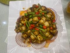 辣炒小扇贝-双井轩(双井店)