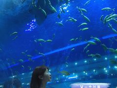 -成都浩海立方海洋公园