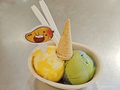 -极拉图·现制冰淇淋(大卫城店)