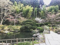 -松岛