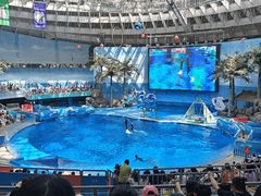 -海合安成都极地海洋公园
