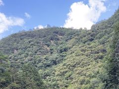 -仙人谷漂流景区