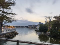 -陈鹏鹏潮汕菜(欢乐海岸 海边景观店)