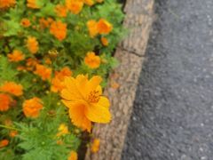 -南北湖风景区