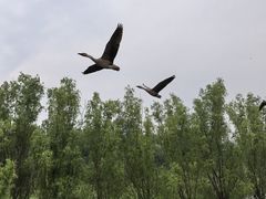 -南海子公园