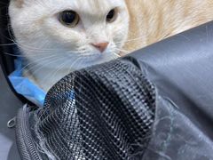 -宠颐生动物医院·小陆分院