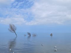 -青海湖二郎剑景区