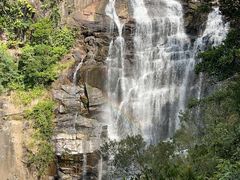 -海南热带雨林国家公园吊罗山景区
