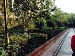 iphone_upload_pic-铁路文化公园
