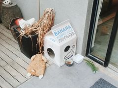 -叩听咖啡 kotiin cafe(福新路店)