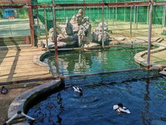 -羊亭河湿地公园