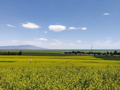 -扁都口生态休闲旅游区