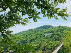 -川西竹海景区