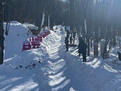 -洛阳白云山景区