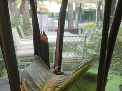 -Carmen卡门西班牙餐厅