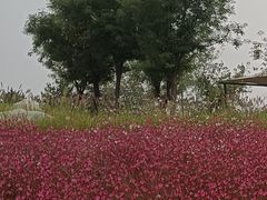 -汉长安城未央宫国家考古遗址公园