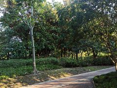 -浦江城市生活广场(江月路店)