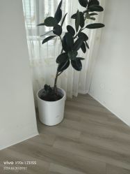 -HEYAN荷妍专业脱毛连锁机构