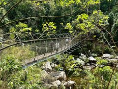 -海南热带雨林国家公园吊罗山景区