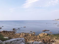 -海岛日记(养马岛店)
