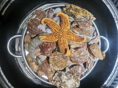 -锅老头海鲜铁锅炖