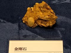 -国家自然博物馆