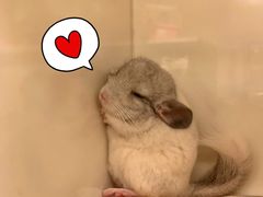 -龙猫仔乐园(惠福东路店)