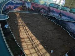 -诸城市恐龙博物馆