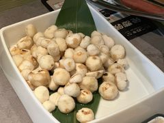 -同仁四季椰子鸡(海岸城天利店)