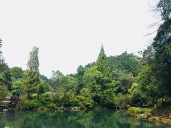-灵栖洞天