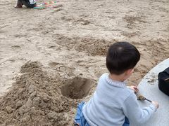 -九龙湖公园