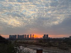 -马口生态公园